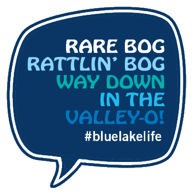 Sticker - Rattlin' Bog