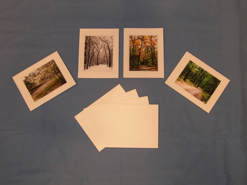 Set of 4 "Seasons of Blue Lake" Note Cards